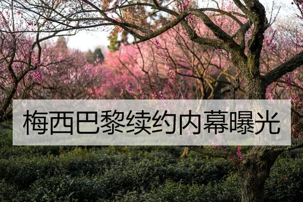 梅西巴黎续约内幕曝光